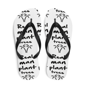 Flip-Flops